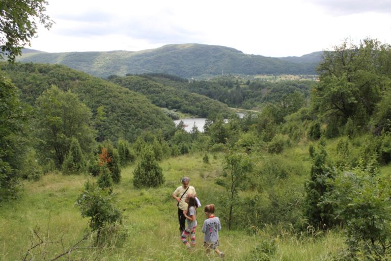 Picture of Radoinsko lake