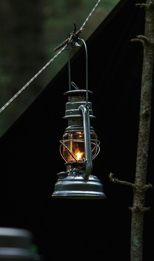 Gas lamp hanging on branch