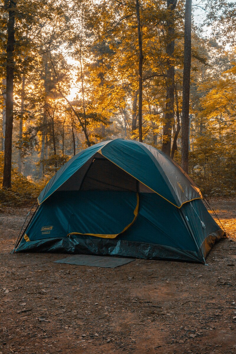 Camping tent in the forest